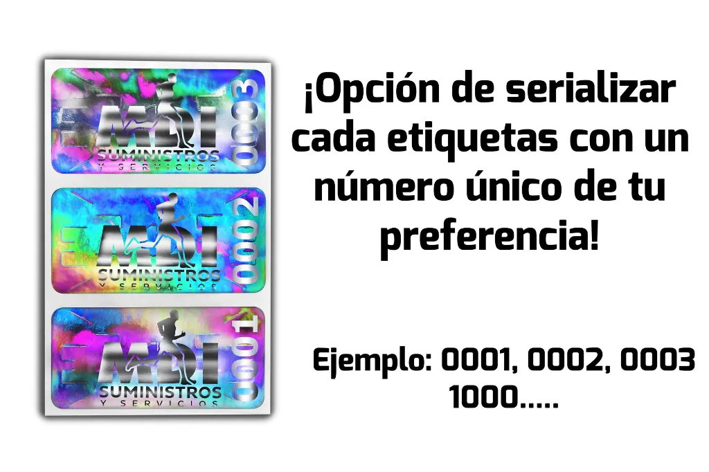 Hologramas_51x25_Seguridad_Plata_DESCRIPCIÓN_1.webp