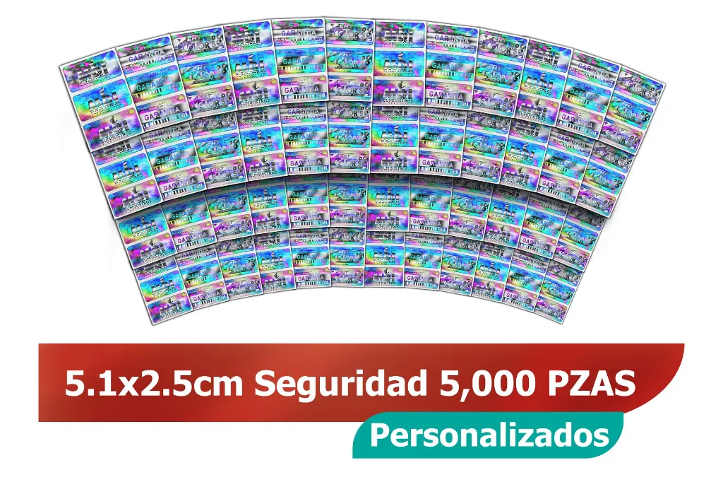 Hologramas_51x25_Seguridad_5000_3_Plata_051025BM041P0000C3D2K0.webp