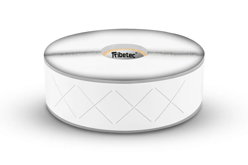 Etiqueta_Térmica_Delivery_250x30mm_2_ETI20030250TT2511211400.webp